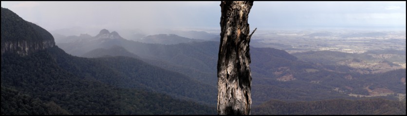 Panorama Vista View from the greatest lookout spot in the world at Lamington National Park bordering NSW and Qld